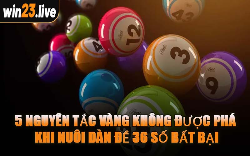 5 Nguyên Tắc Vàng Không Được Phá Khi Nuôi Dàn Đề 36 Số Bất Bại