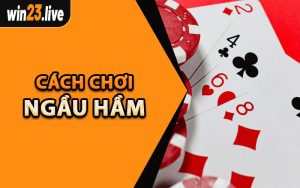 Cách Chơi Ngầu Hầm