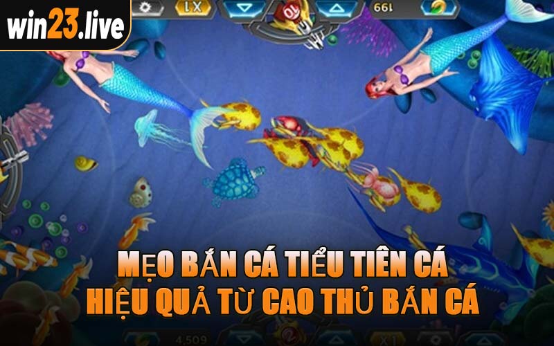 Mẹo Bắn Cá Tiểu Tiên Cá Hiệu Quả Từ Cao Thủ Bắn Cá